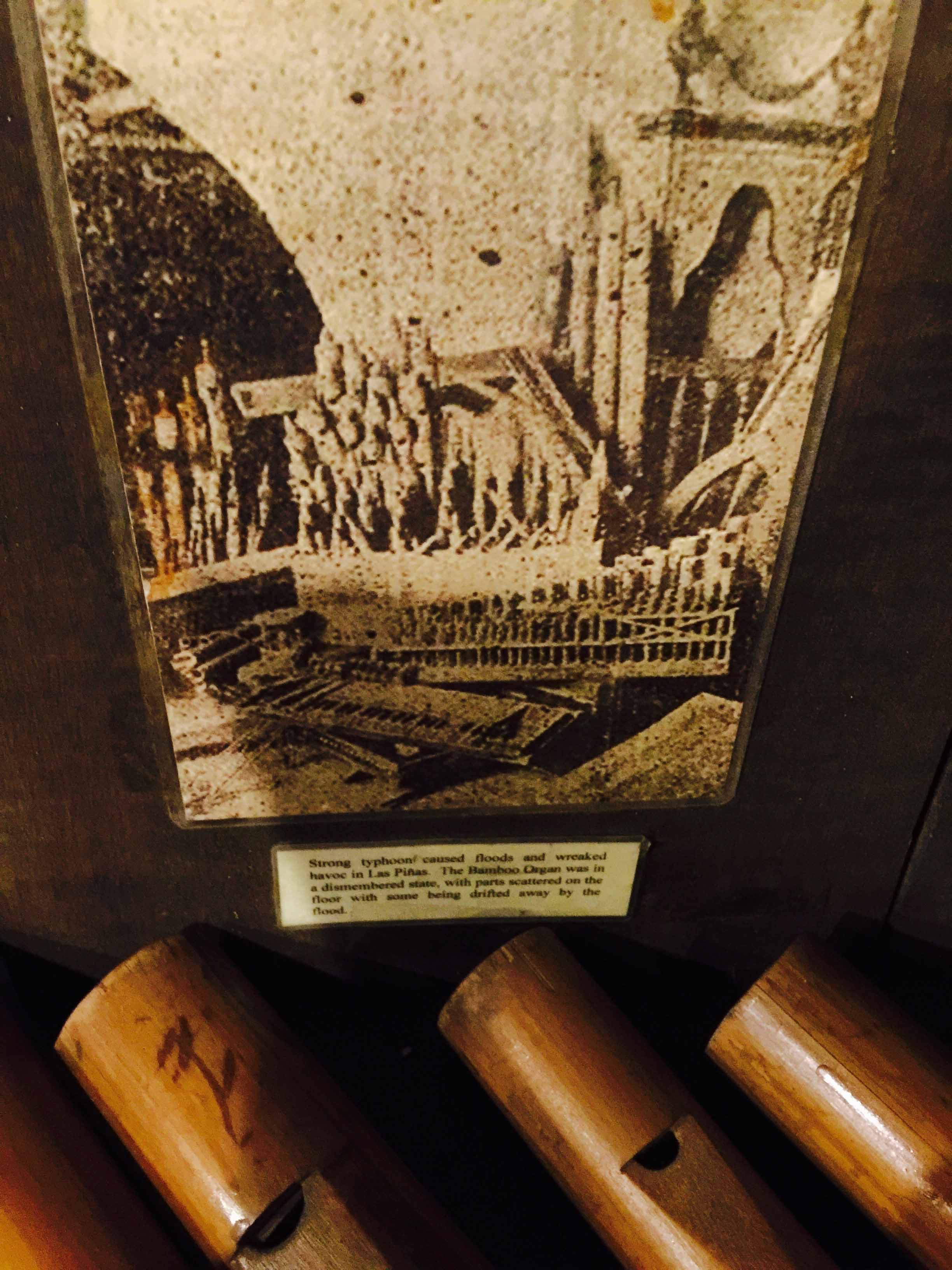 © 2015 Melinda Irvine. This image remains the property of Melinda Irvine and may not be reproduced in any form without permission.