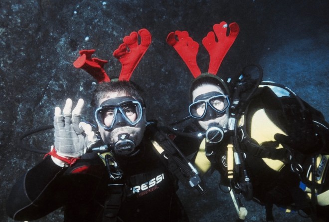 a wolf rock christmas