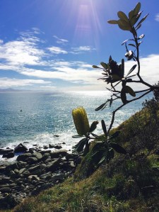 little you like a surfski paddler