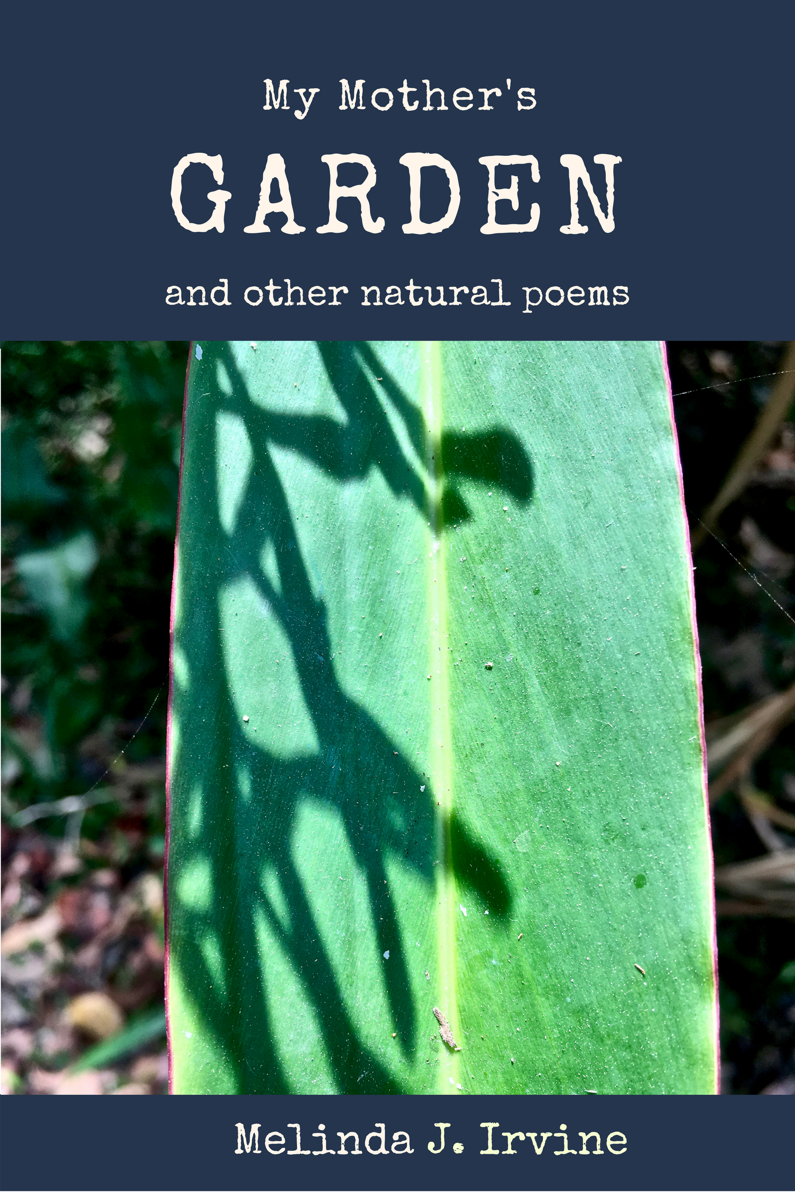 My Mother's Garden by Melinda J. Irvine iBooks Cover Art