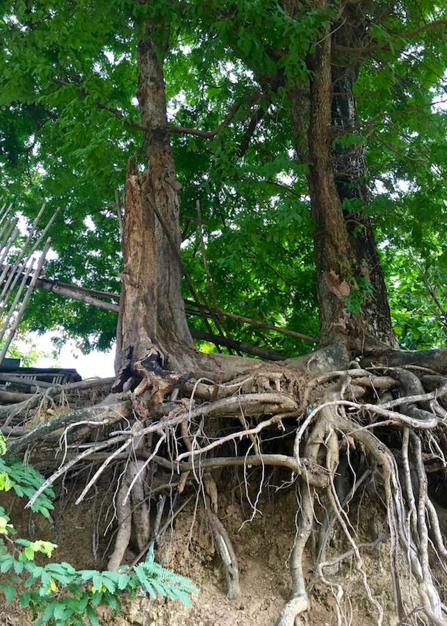 ... we fall together.