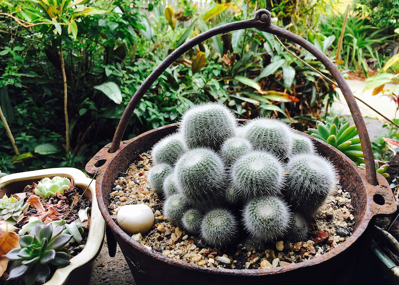 nostalgia - weekly photo challenge