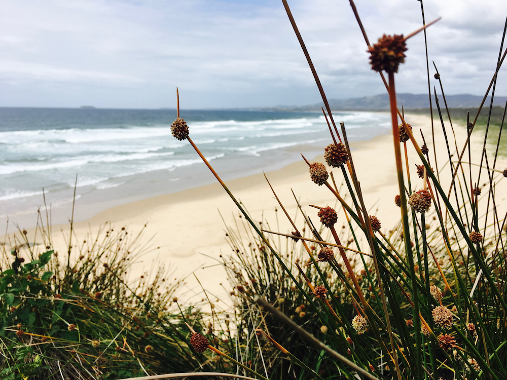 missing-the-point-by-mel-irvine