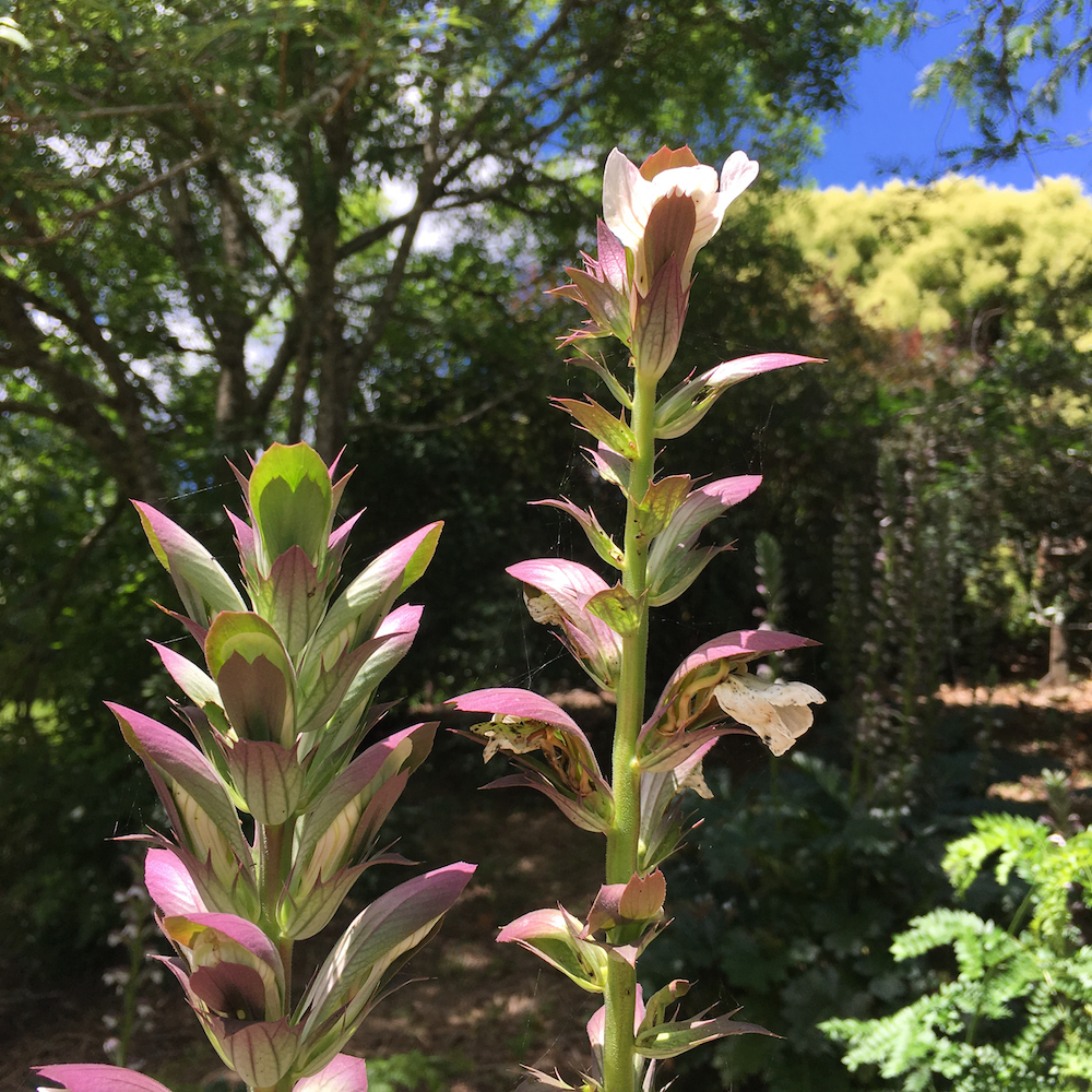 light reflecting Christmas days