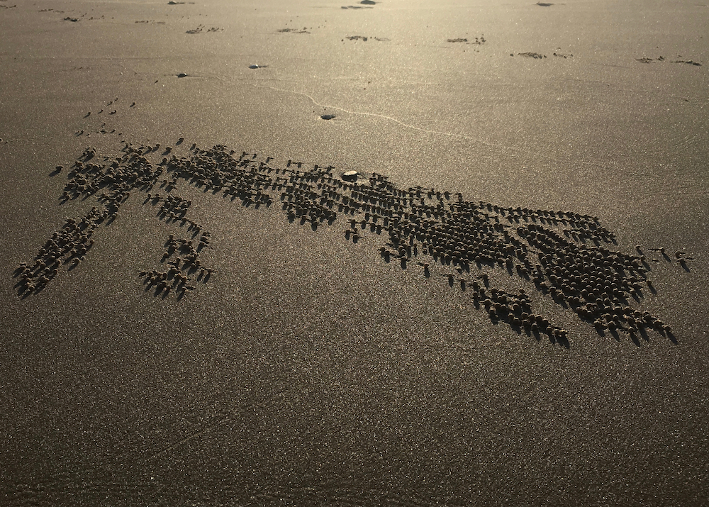 australian-afternoon-by-melinda-irvine