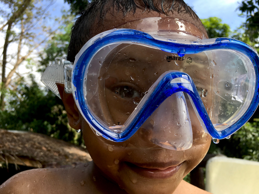 dogwood52 DogwoodWeek4