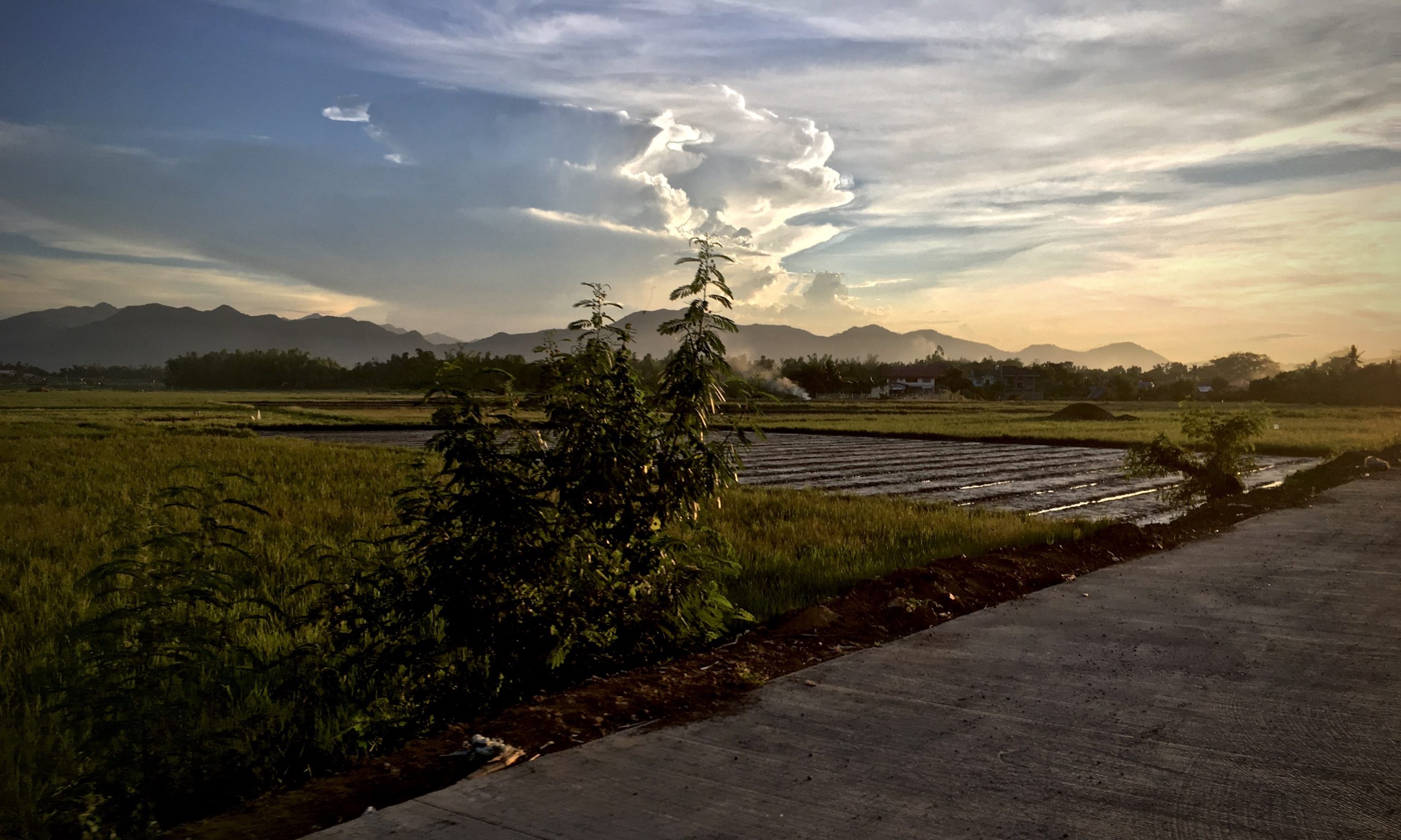 just before sunset over the newly ploughed rice paddies by Melinda J. Irvine