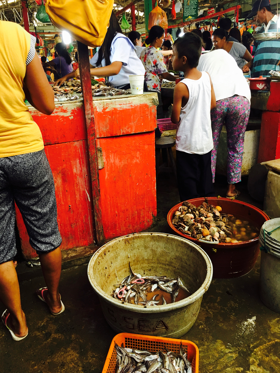 in the fish market