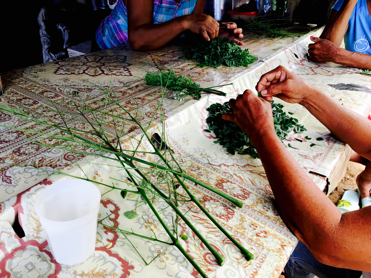 ladies prepare green vegetables