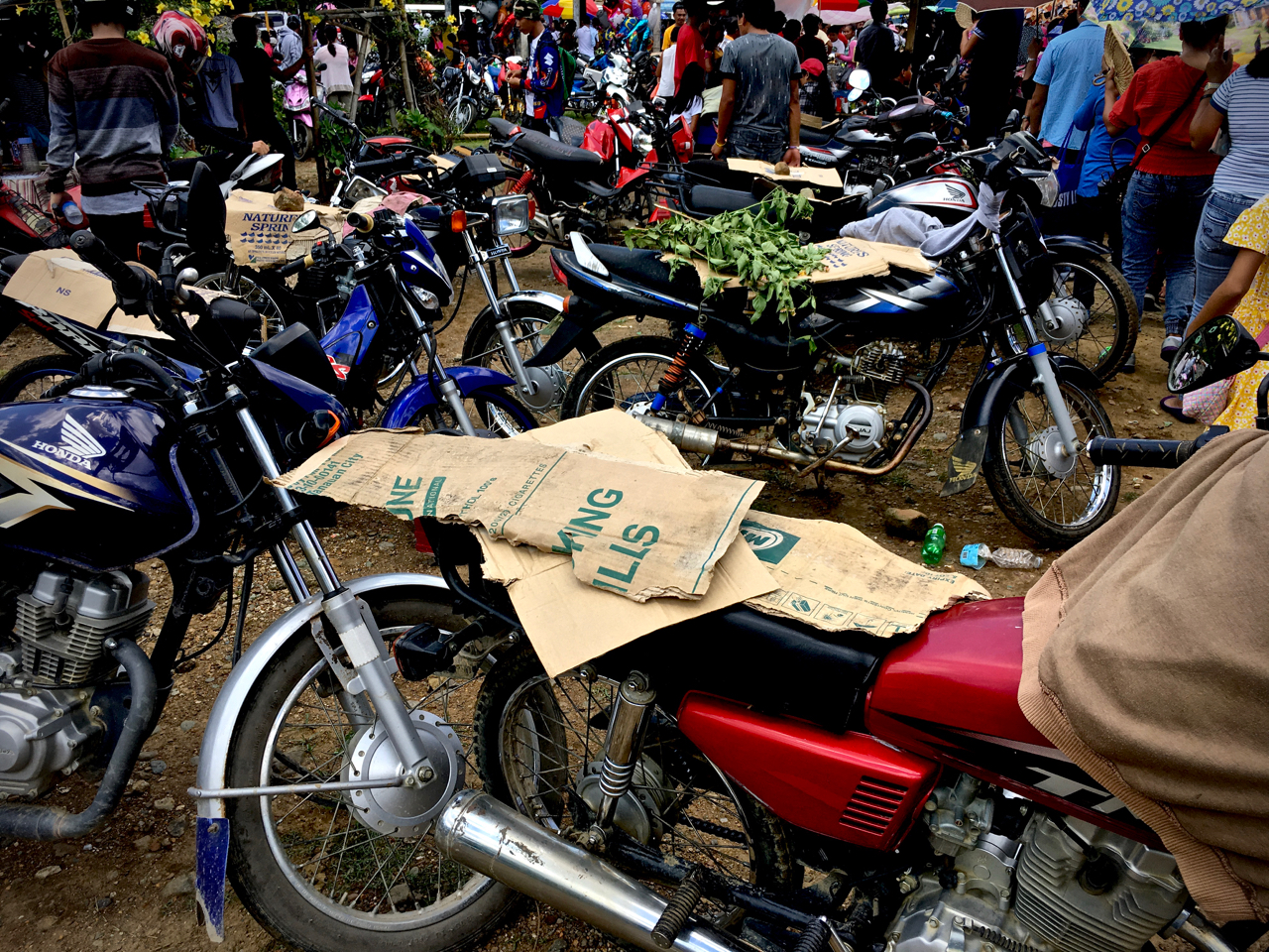 motorbikes covered in cardboard and leaves in the summer heat