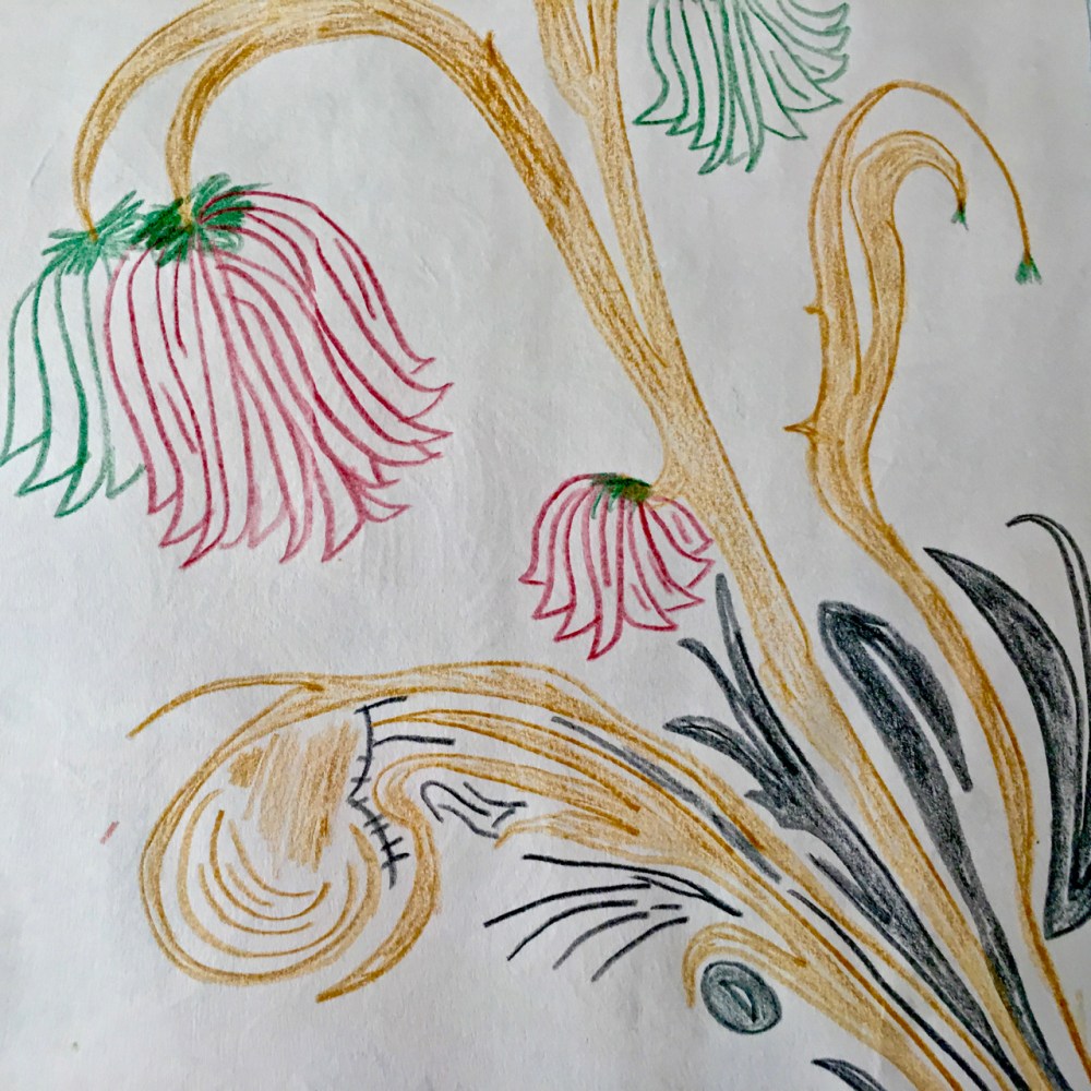 hand drawn fictious flowers