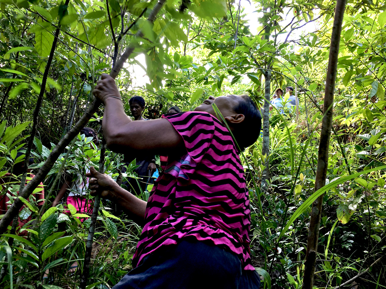 Filipino lady looking up through the forest