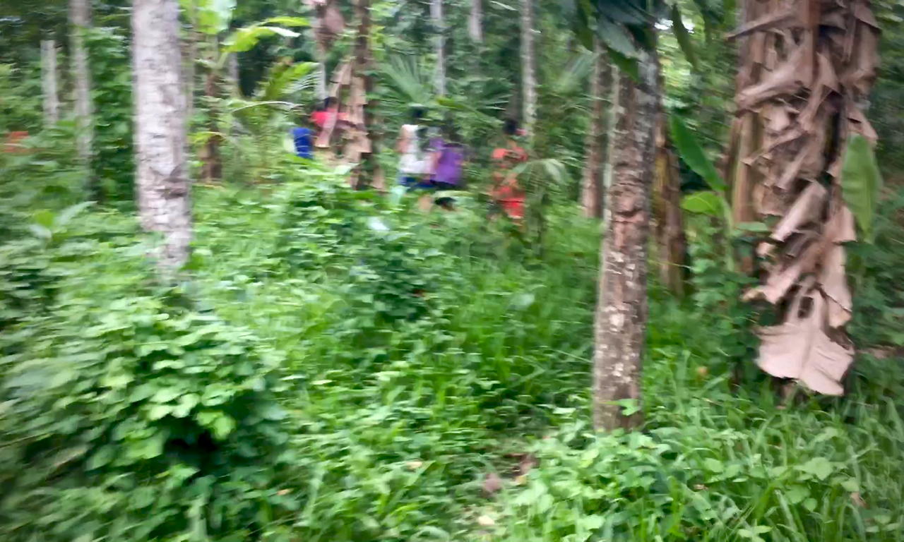 blurred photo of children walking along a bush trail