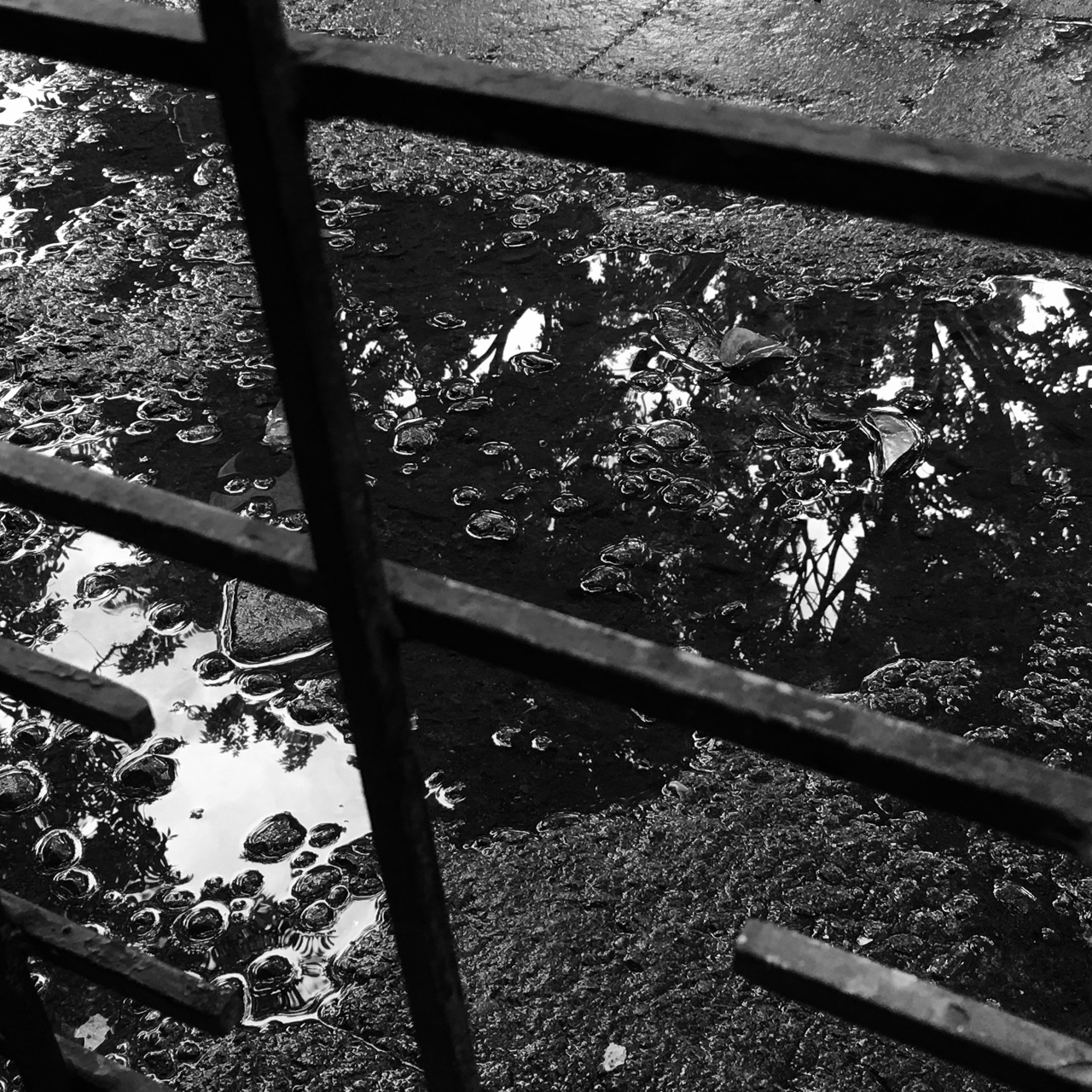 black and white shadows