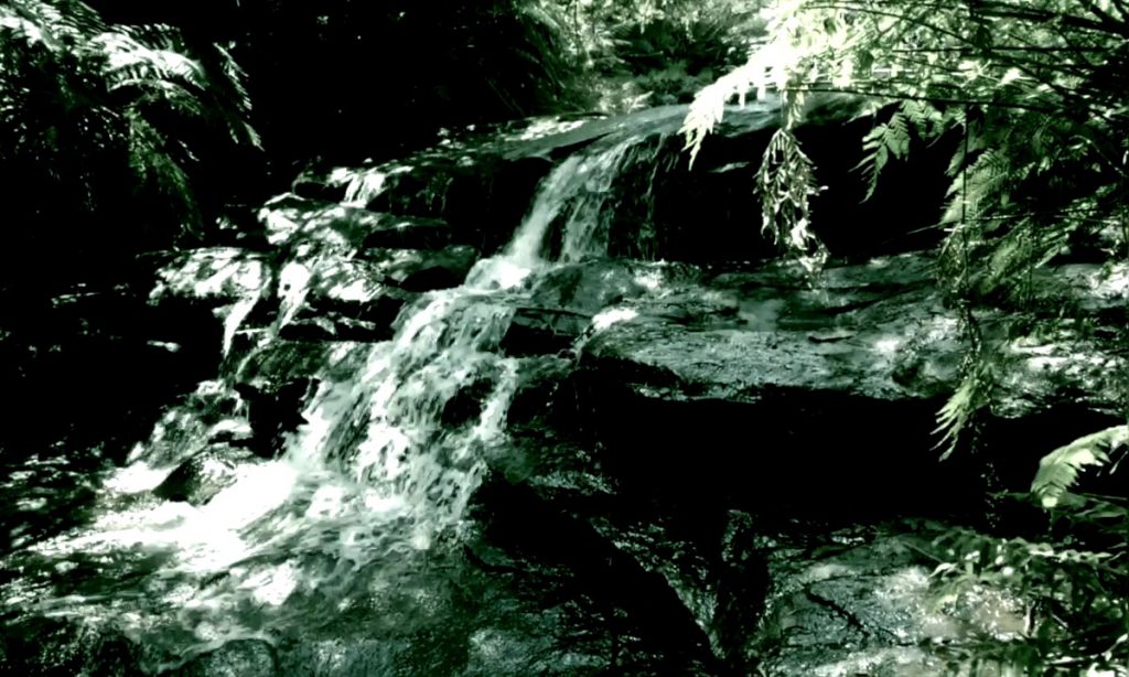 little mountain stream in black and white