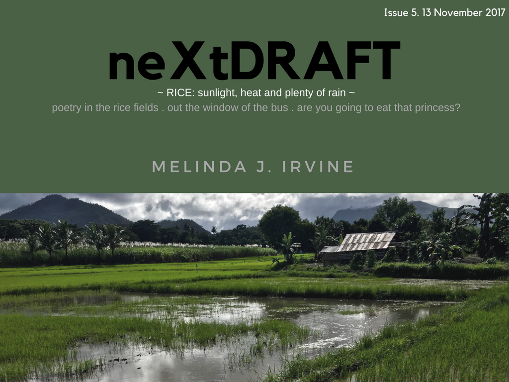 neXtDRAFT Issue 5. Rice: sunlight, heat and plenty of rain