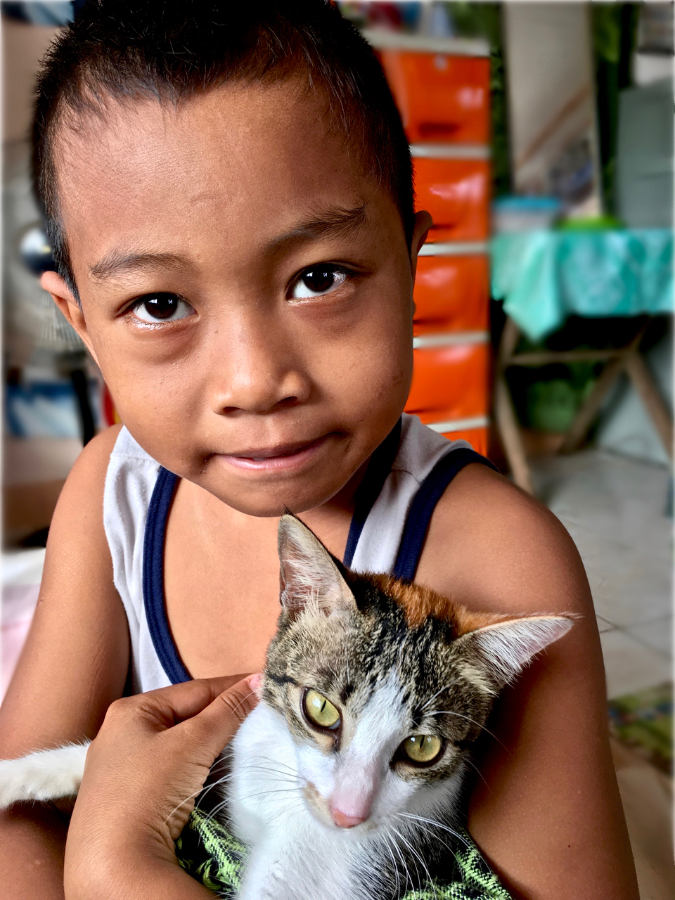 little boy and his cat