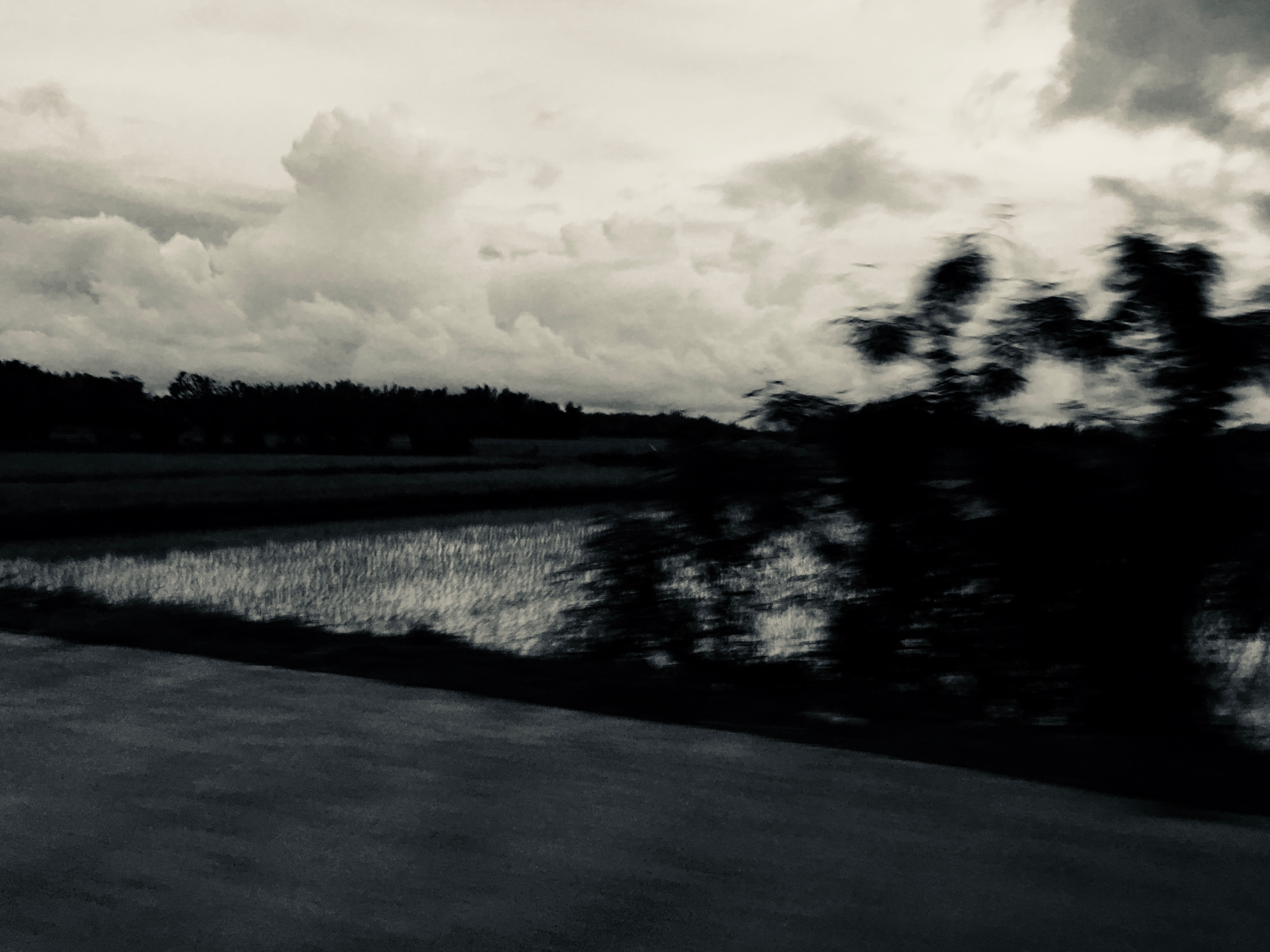 the fading sunset (1)