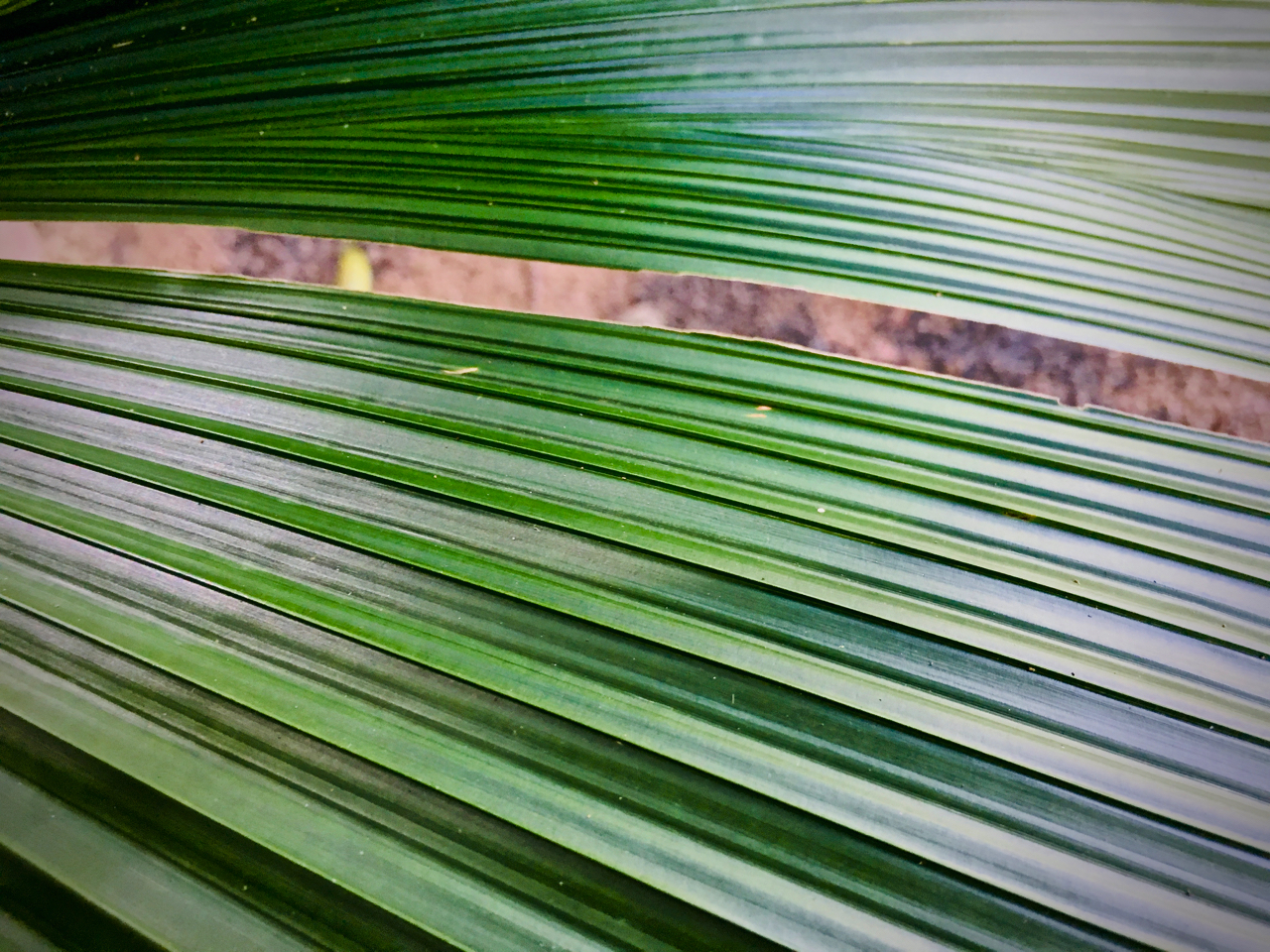 undulating by Melinda J. Irvine