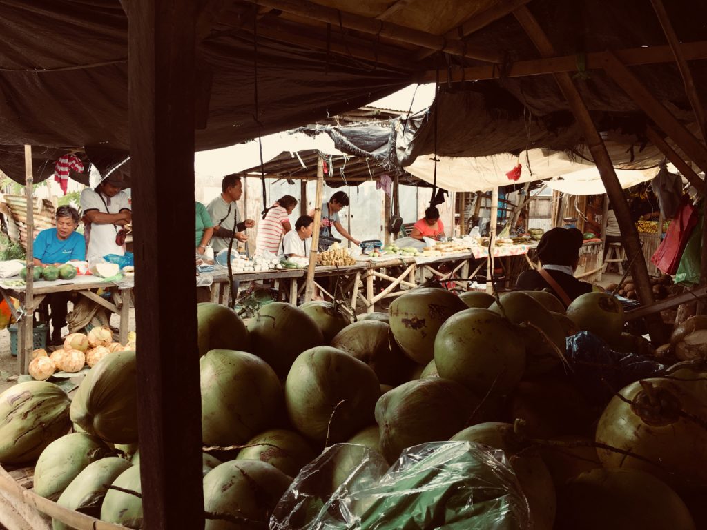 fresh green coconuts