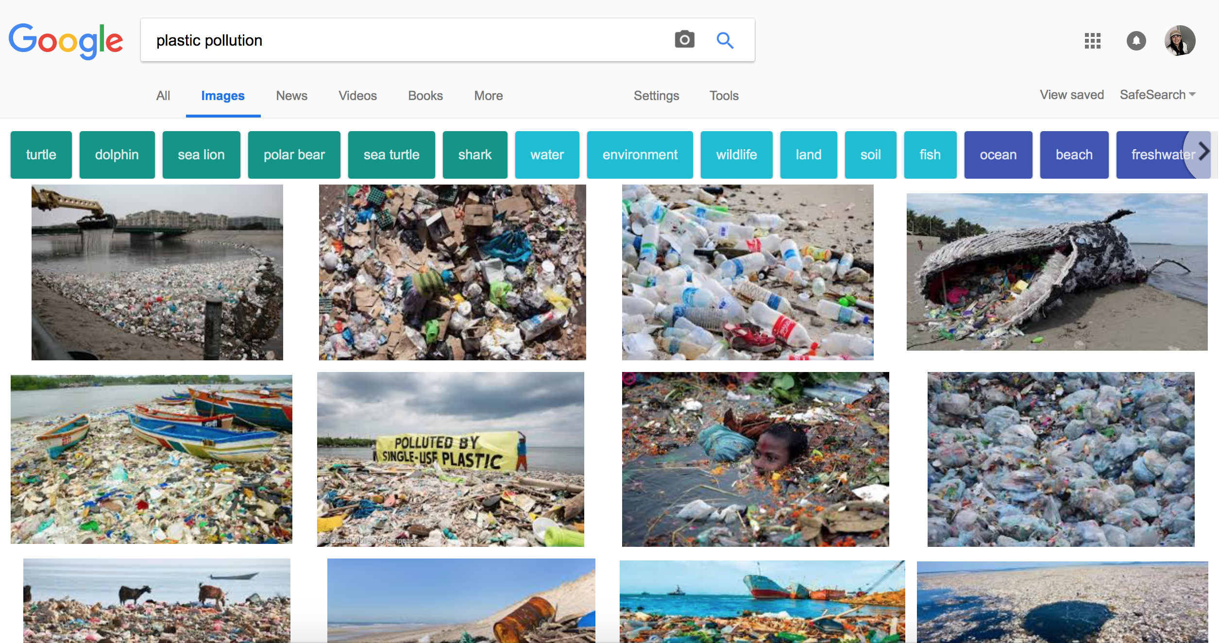 googling plastic pollution