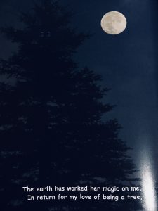 poetry from Me, the Tree