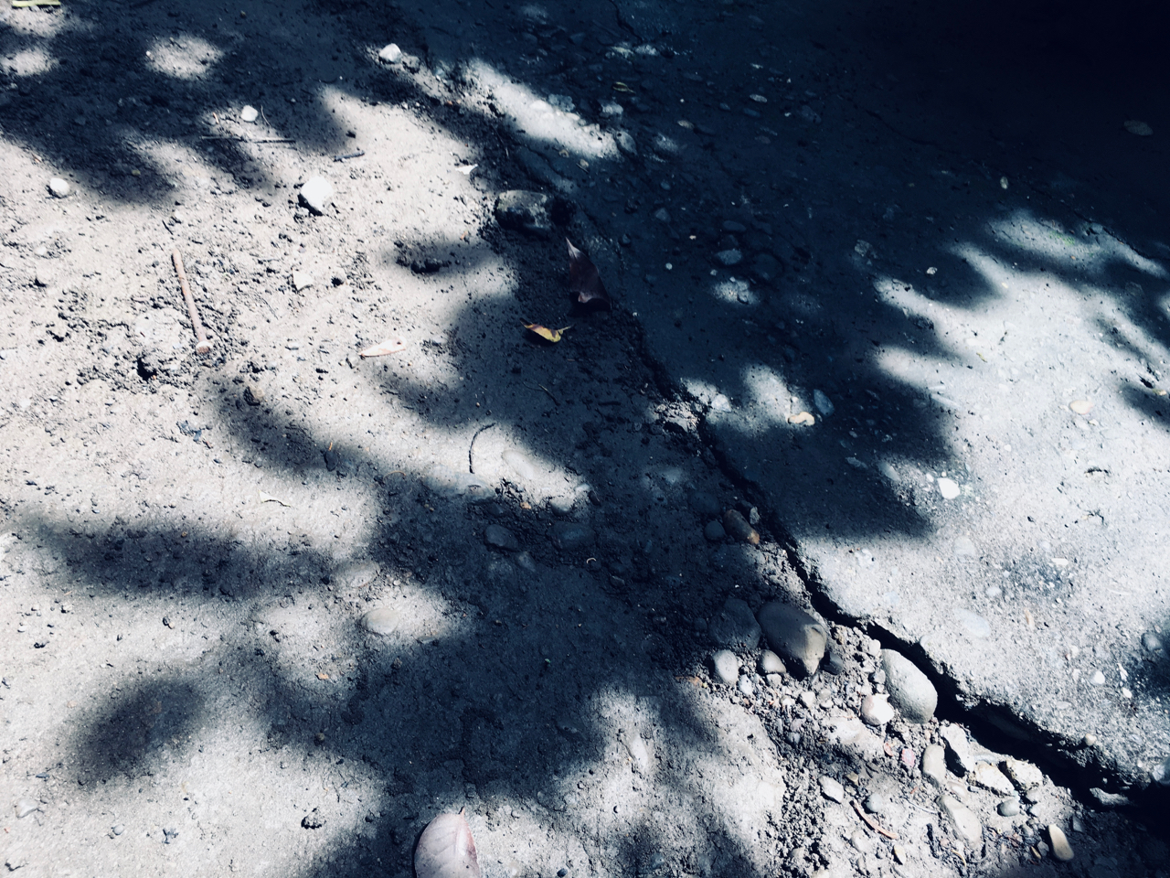 blotch shadow on mud