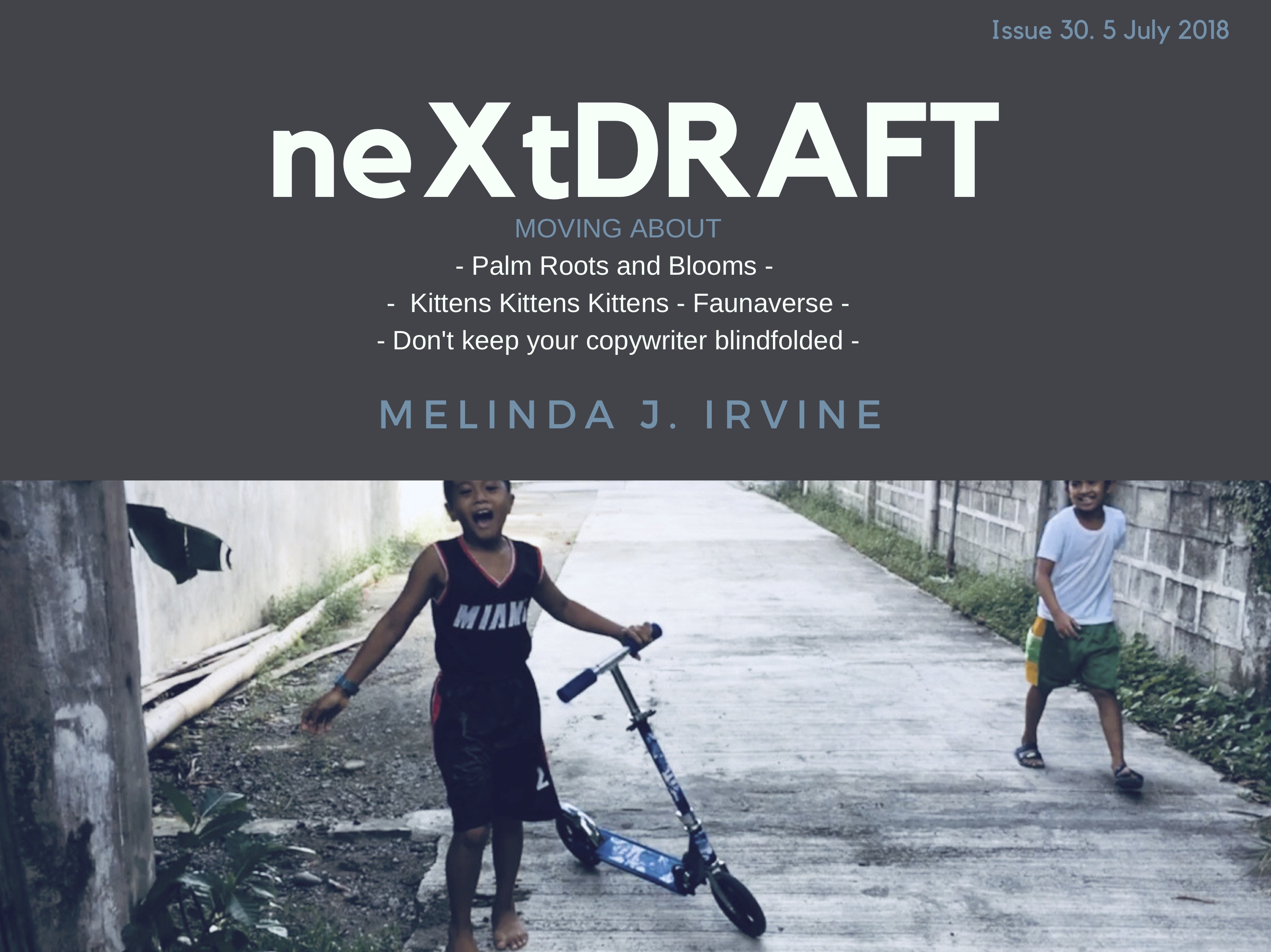 neXtDRAFT an eZine by Melinda J. Irvine Issue 29.