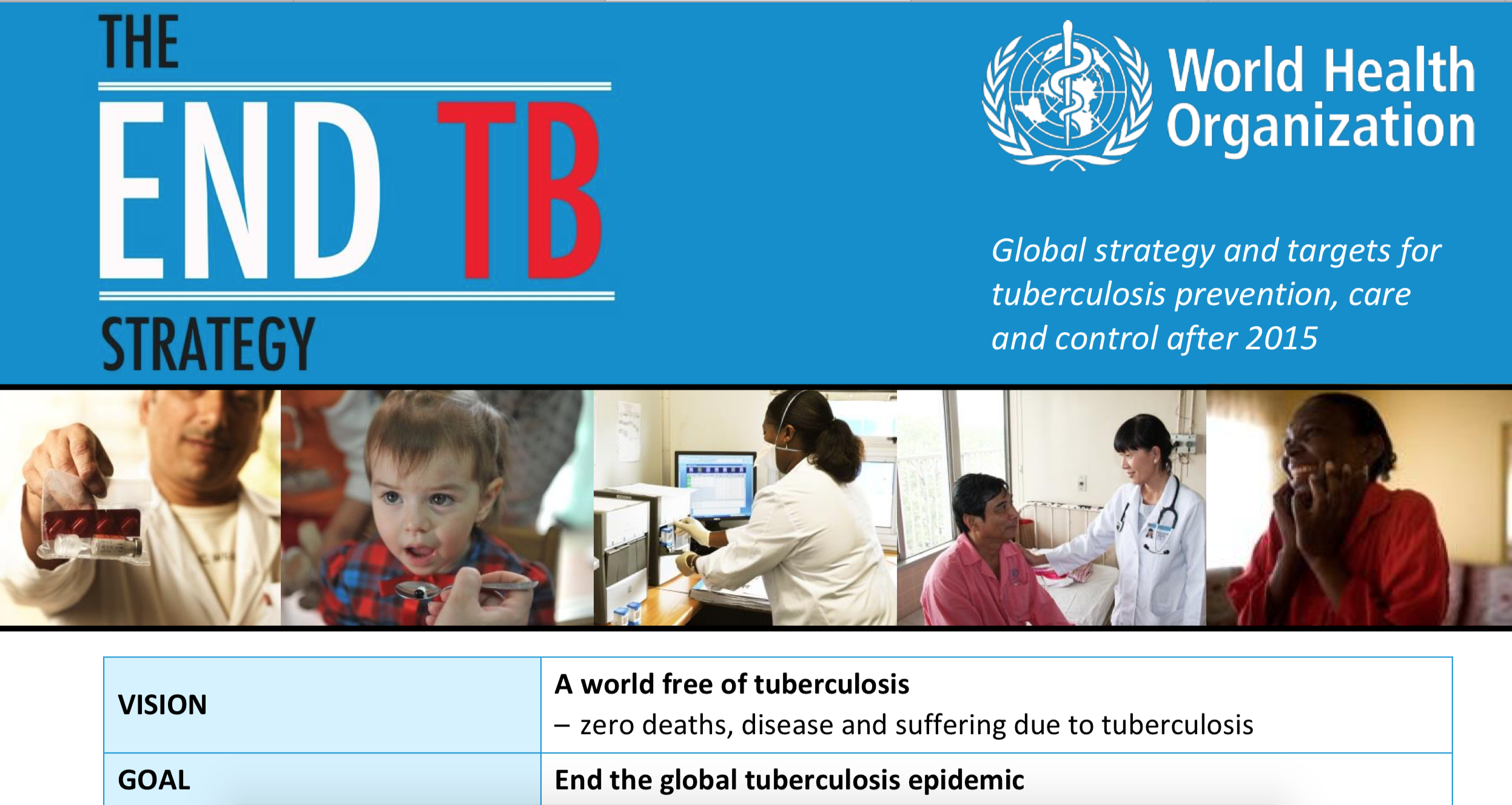end tuberculosis (TB) strategy