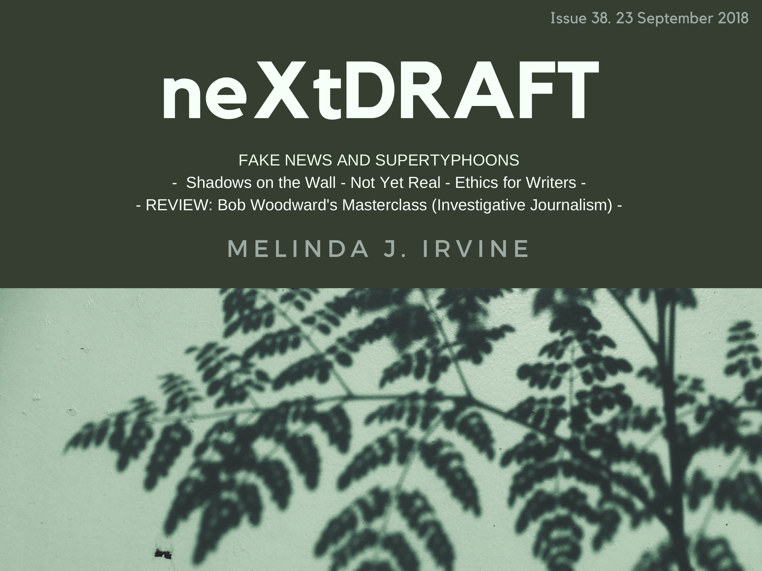 neXtDRAFT an eZine by Melinda J. Irvine Issue 38