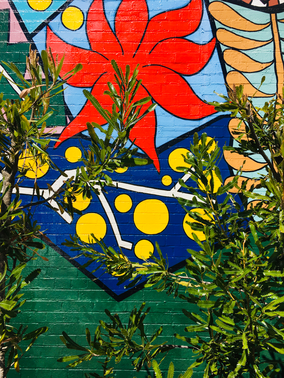 murals in blackheath nsw2