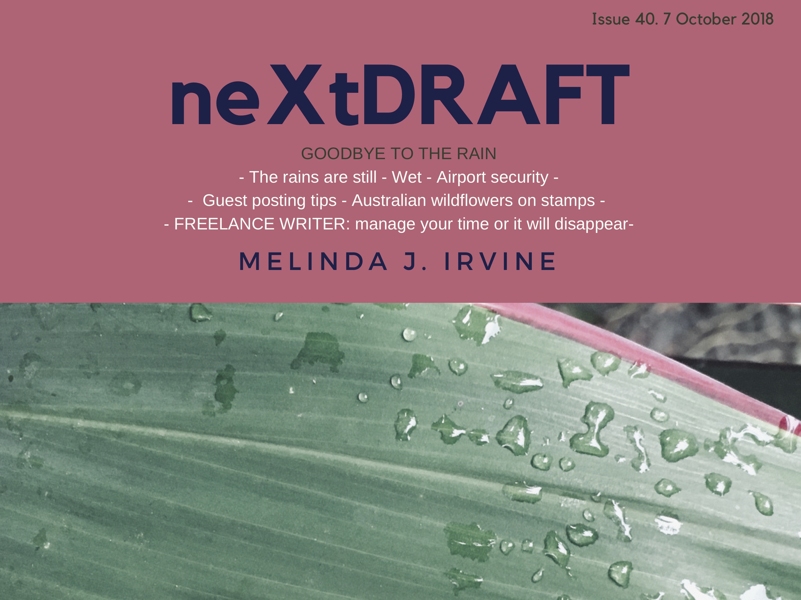 neXtDRAFT an eZine by Melinda J. Irvine Issue 40