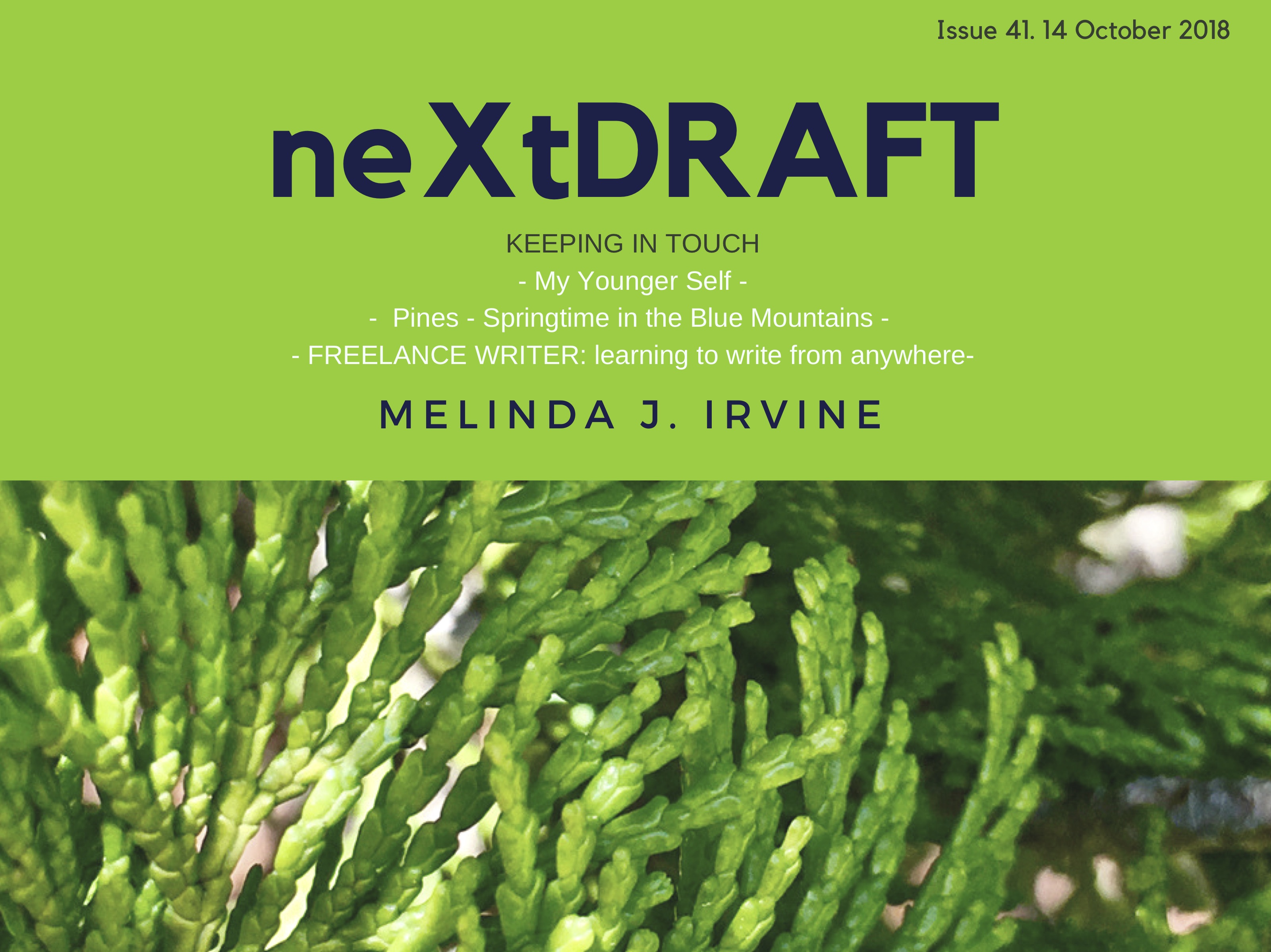 neXtDRAFT an eZine by Melinda J. Irvine Issue 41