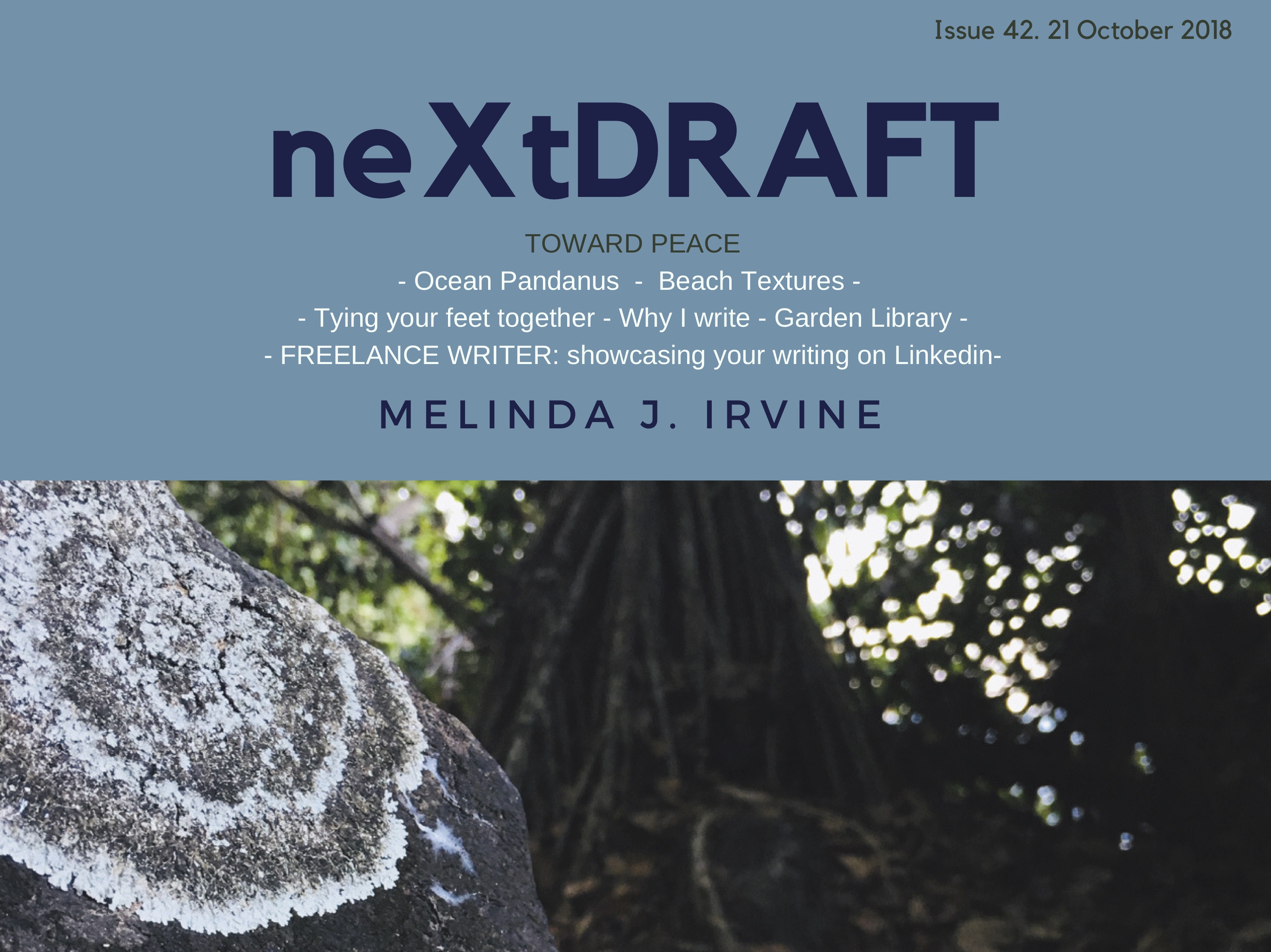 neXtDRAFT an eZine by Melinda J. Irvine Issue 42