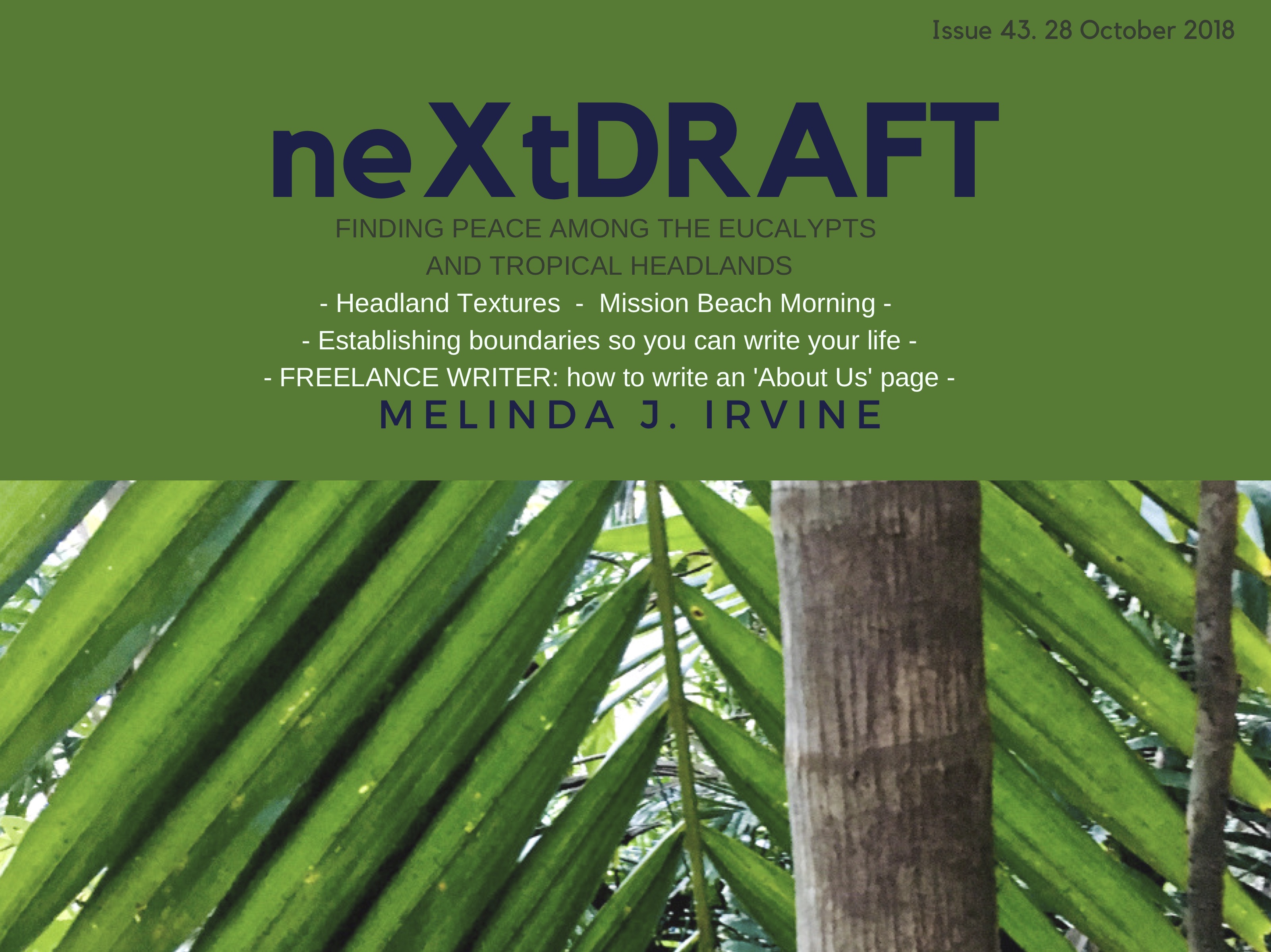 neXtDRAFT an eZine by Melinda J. Irvine Issue 43