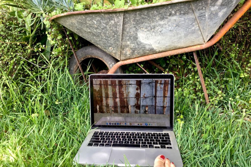 freelance writing in the garden. laptop and wheelbarrow.