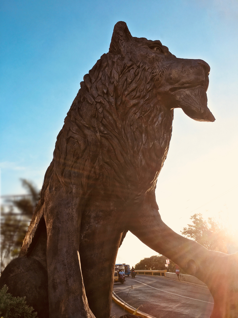street cat of Molo lion statue