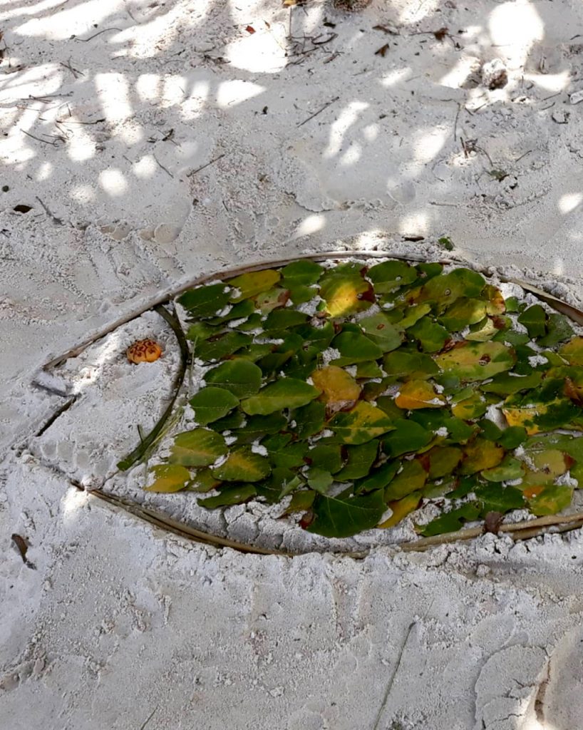 beach art of mangrove fish made from leaves