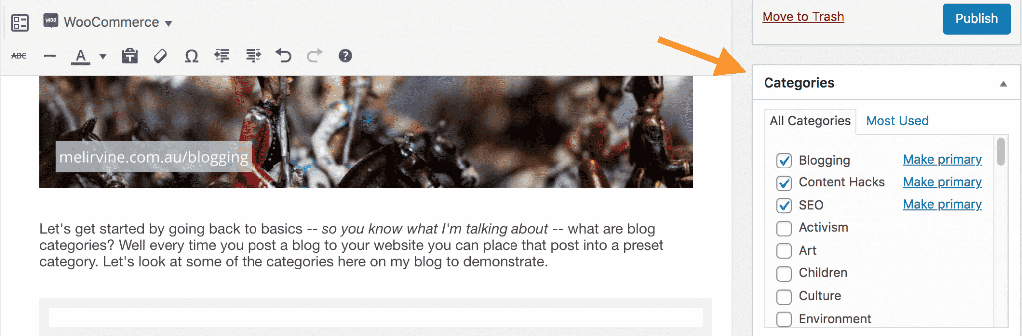 setting a blog category on melirvine.com.au