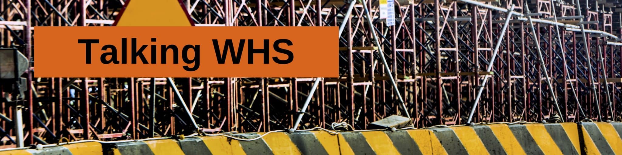 talking WHS @ Melinda J. Irvine v1