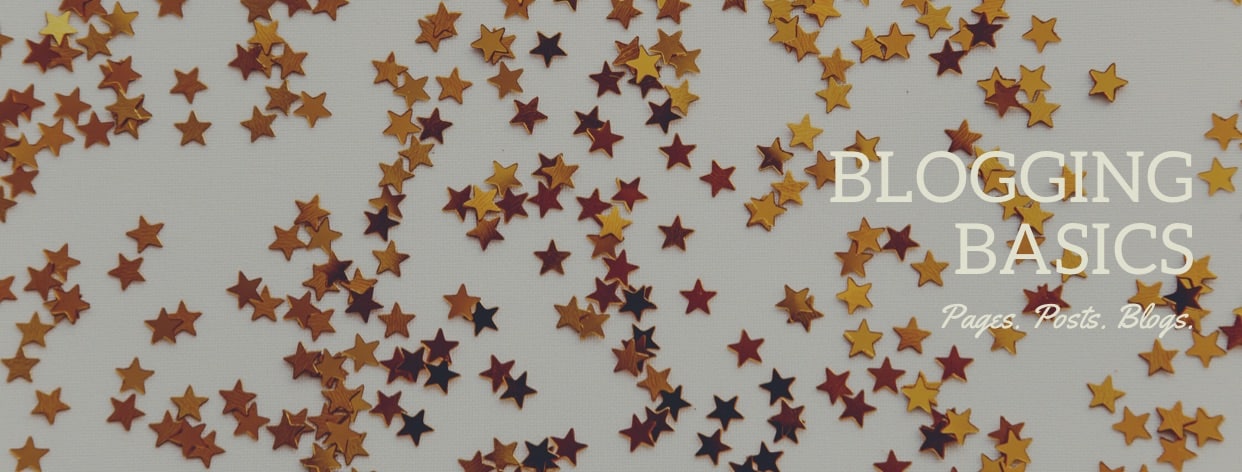 Blogging Basics by Melinda J. Irvine