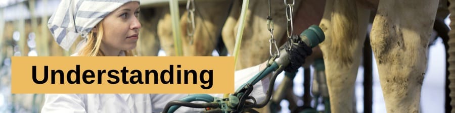 BANNER IMAGE helping workers understand WHS