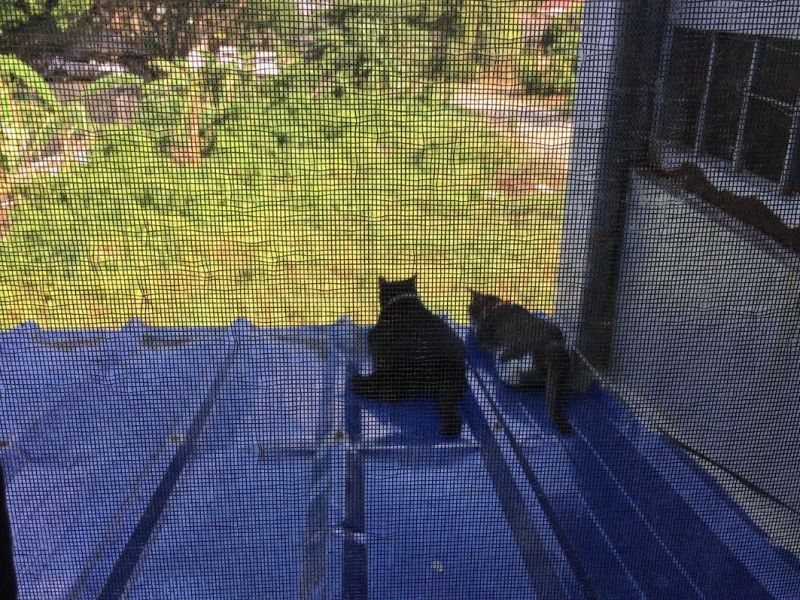 Besties