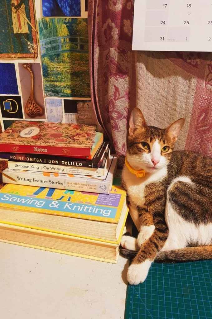 cat leaning on writing books