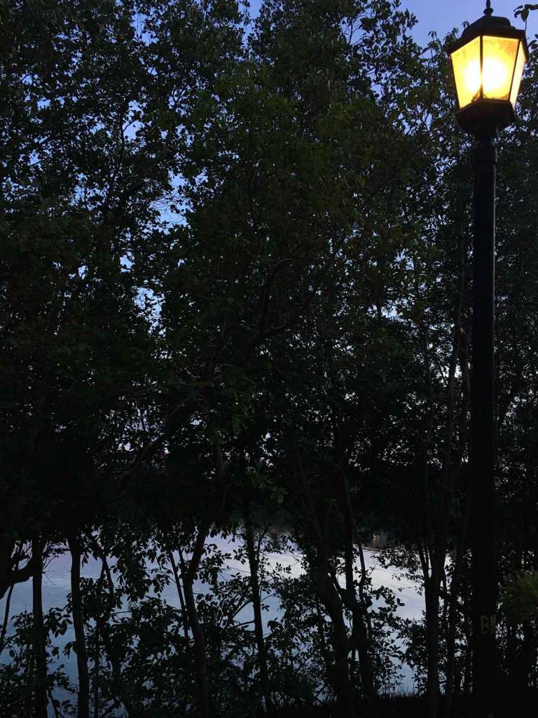 street lamps over the Iloilo River at twighlight