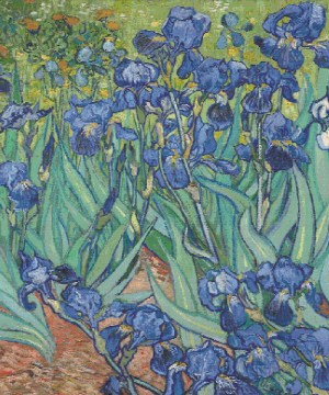 van gogh irises cross stitch pattern product image