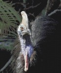 Cassowary Cross Stitch Pattern